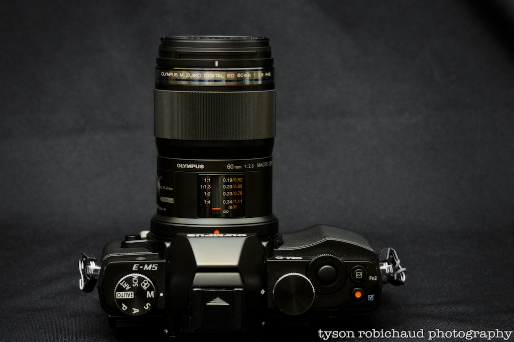 Against the grain on the new Olympus 60mm f/2.8 macro lens | Tyson
