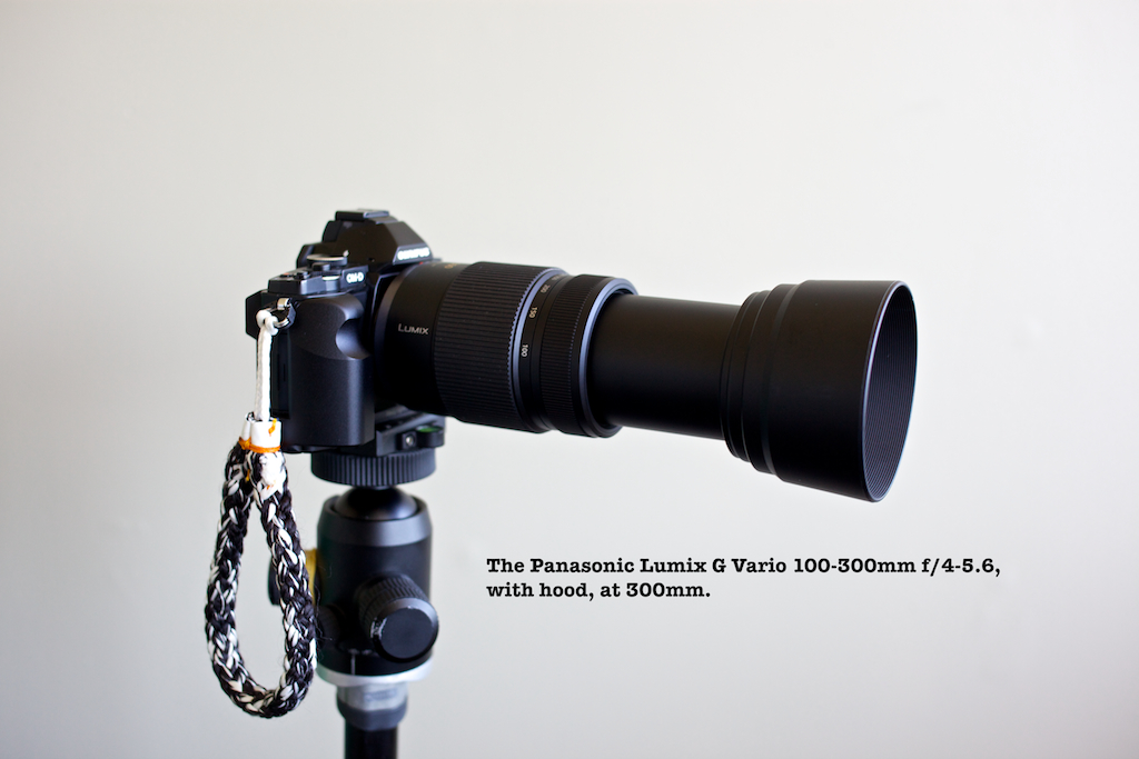 Panasonic Lumix 100-300mm, waste of time, or amazing value