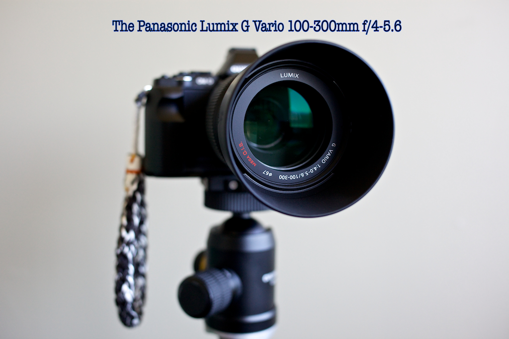 Panasonic Lumix 100-300mm, waste of time, or amazing value